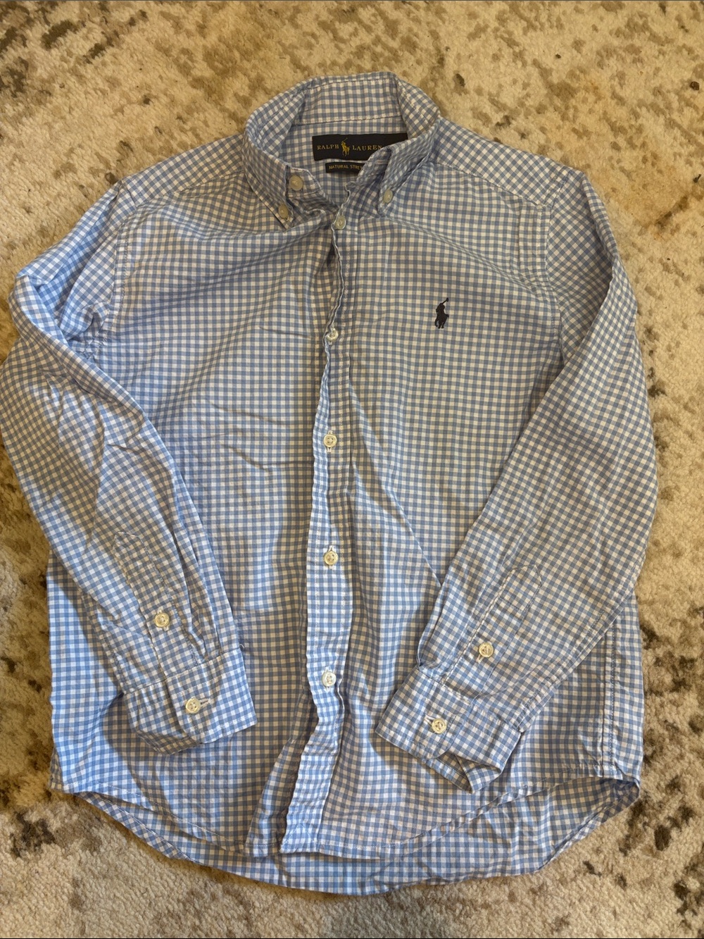 Boys Ralph Lauren Blue and White Gingham Button-Down Shirt